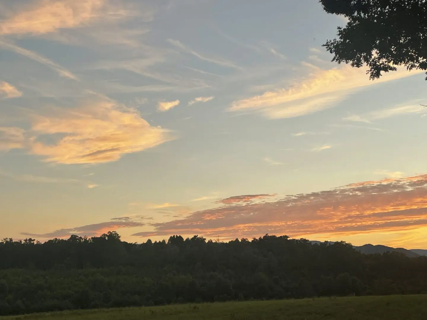 A view of the sky at sunset from across the field.